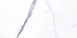 30×60 PA PALATINA BLANCO BRILLO PRI.