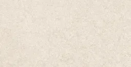 30×60 P EVEREST ARENA AGED PRI.