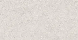 30×60 P EVEREST GRIS AGED PRI.