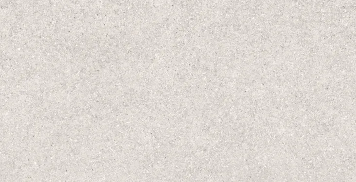 30×60 P EVEREST GRIS AGED PRI.