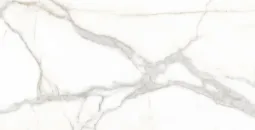 60×120 P PALAZZO BLANCO SILK 9 R PRI.