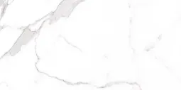 60×120 P PALATINA BLANCO MAT 9 R PRI.