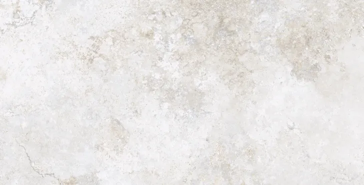 60×120 P CORALINA WHITE MAT 9 R PRI.