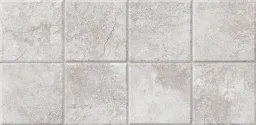 30×60 P CORALINA REL PRE. GREY MAT PRI.