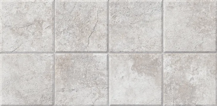 30×60 P CORALINA REL PRE. GREY MAT PRI.