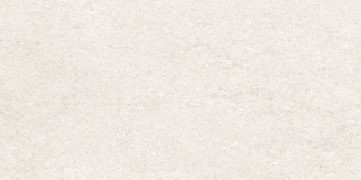 30×60 P EVEREST GRIS AGE 8 R PRI.