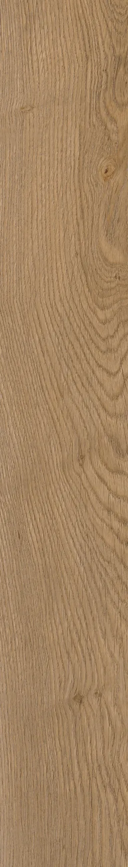 1220×181 SPC HOME OAK PRI.