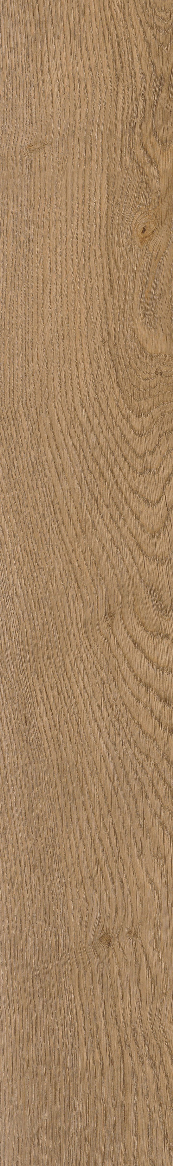 1220×181 SPC HOME OAK PRI.
