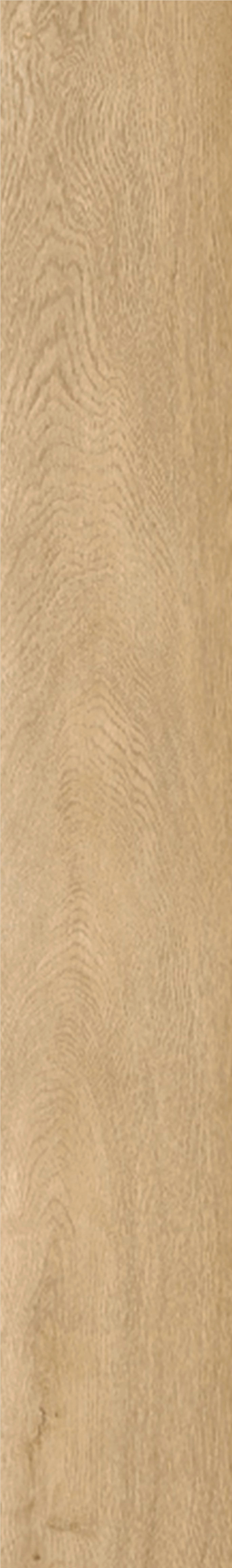 1220×181 SPC HOME HONEY PRI.