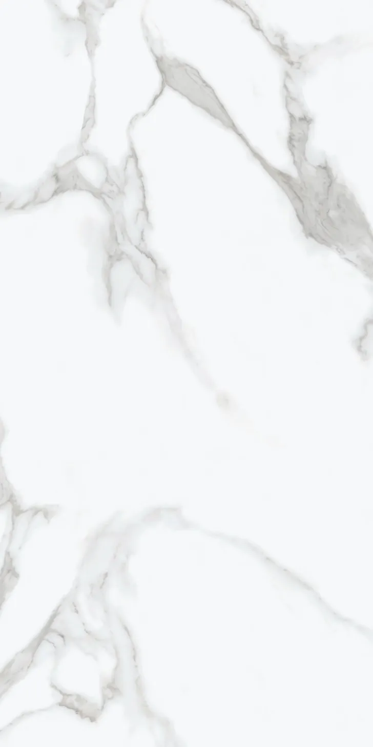 470×940 SPC CALACATTA MATT PRI.
